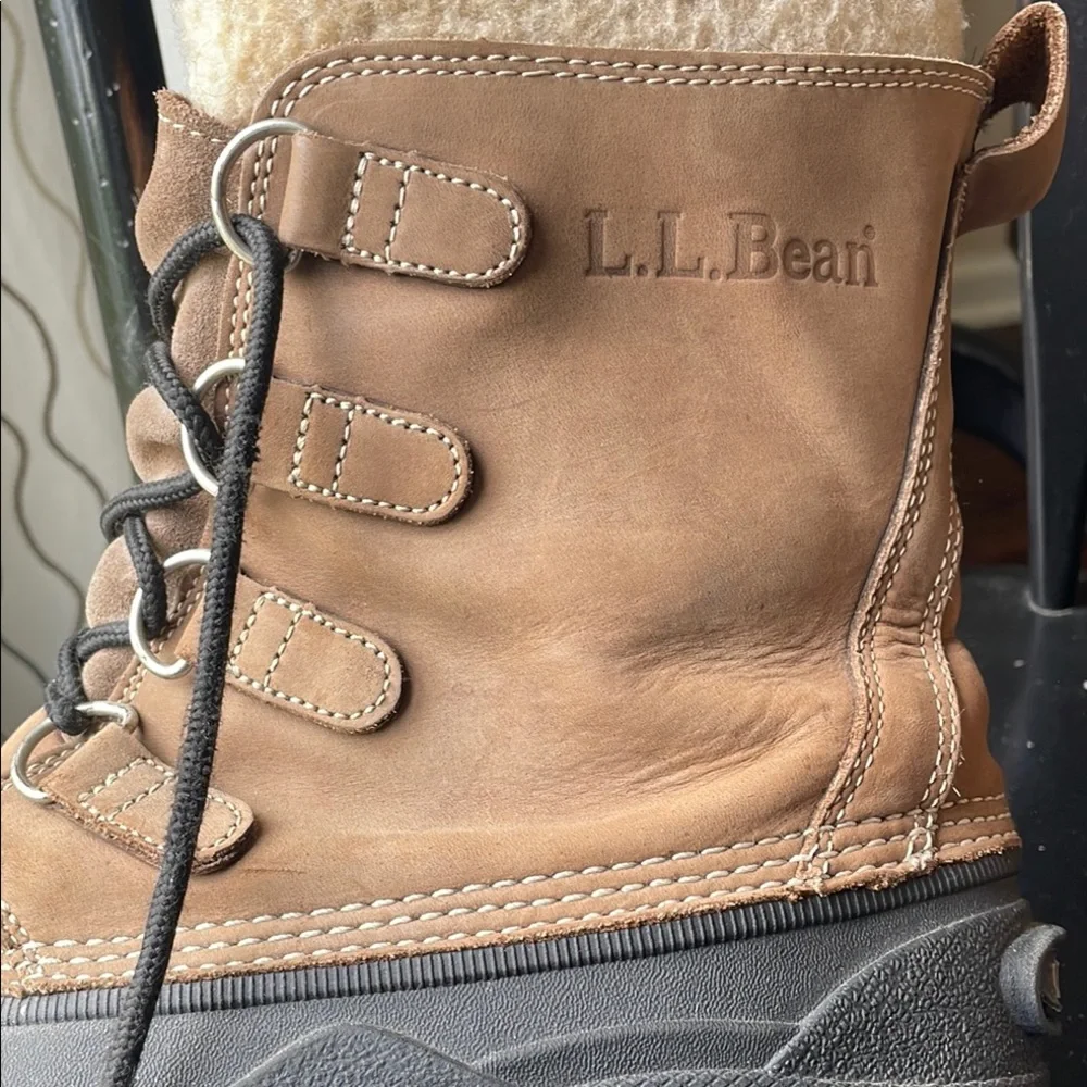 L.L. Bean bean duck